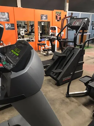 Masters of Iron Gym