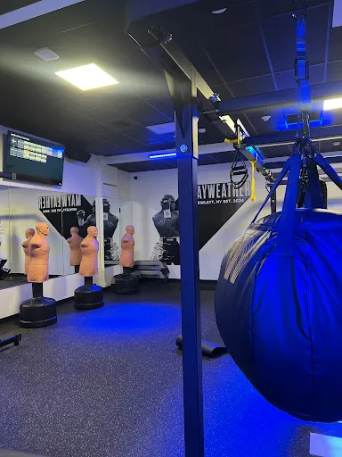 Mayweather Boxing And Fitness
