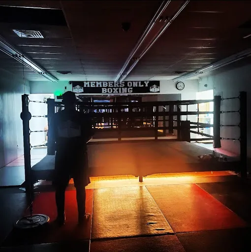 Members Only Boxing
