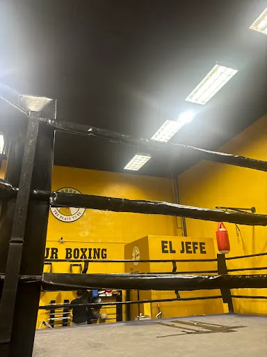Missile Boxing & Muay Thai