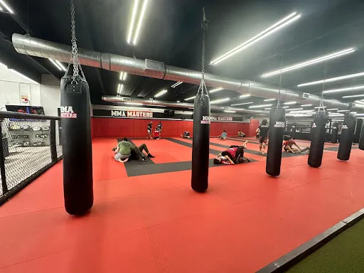 MMA MASTERS