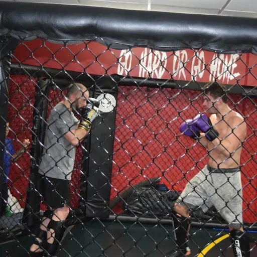 Monster Fit Striking