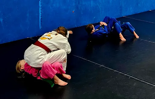 Mountain State Martial Arts and Fitness LLC