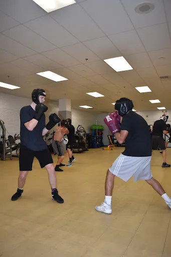 Mutopia Boxing & Fitness
