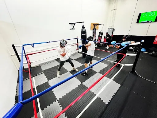 MV Boxing & Fitness