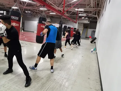 Nasty Knuckles boxing