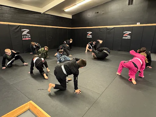 Nemesis Jiu Jitsu