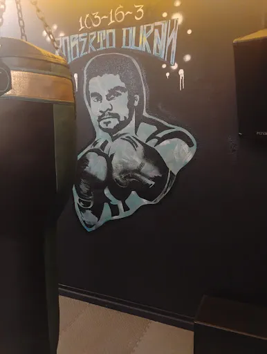 Next Level Boxing Gym