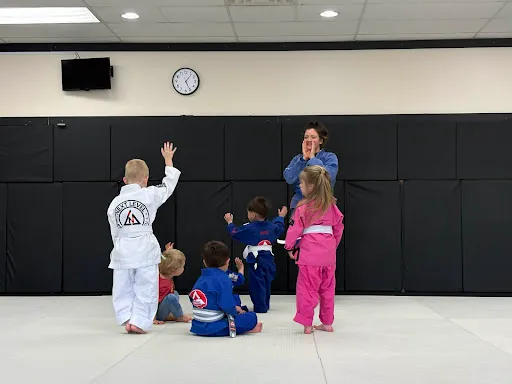 Next Level - Brazilian Jiu-Jitsu, Judo, & Boxing