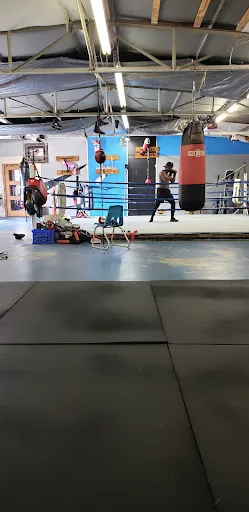 Next Level Fitness and Boxing