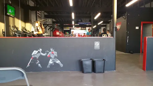 NGBA Boxing