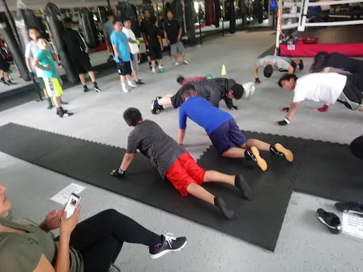 Noble & Carina's Boxing Gym