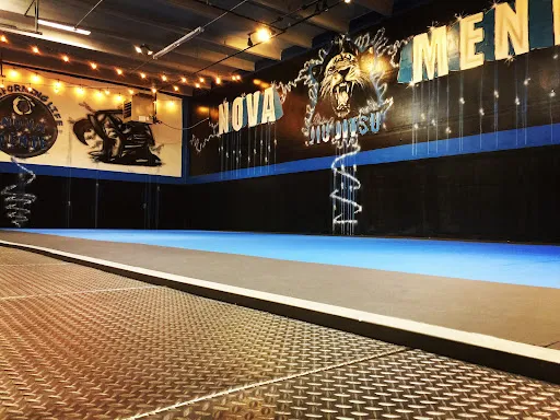 Nova Mente Jiu Jitsu Academy