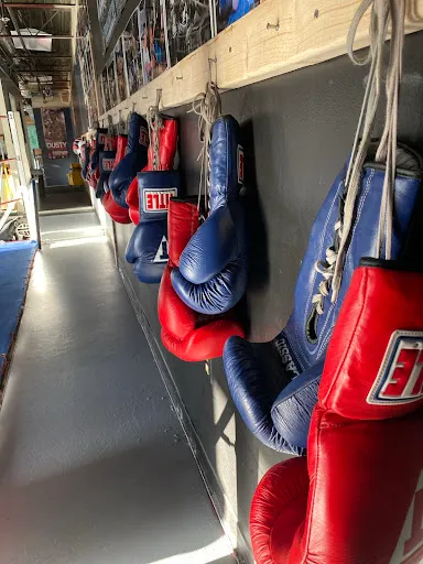 Old School Boxing