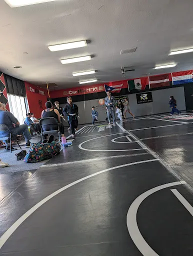 One Hit MMA