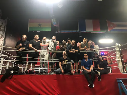 Pack of Wild Dogs Combat Club