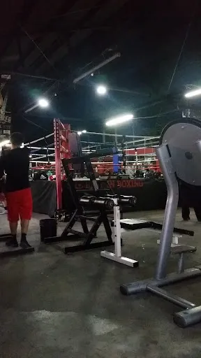 Panteritas Gym