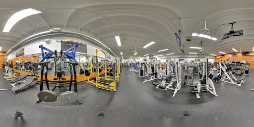Paradise Gym