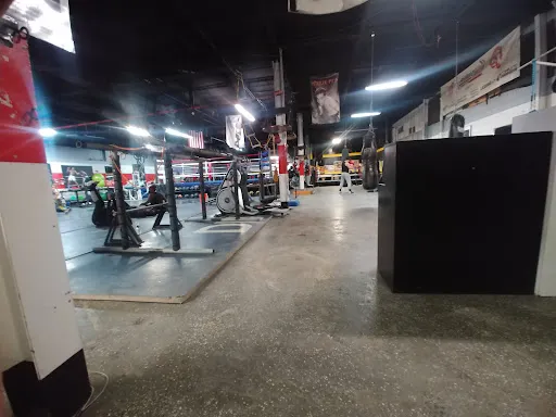Peekskill Be First Boxing