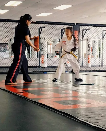 Pettis Martial Arts