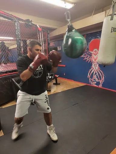 Phoenix self defense
