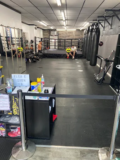 Platinum Boxing Studio
