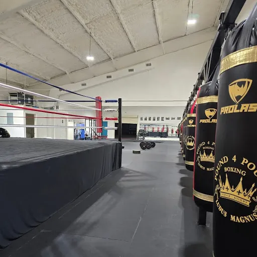 Pound 4 Pound Boxing - Ludus Magnus