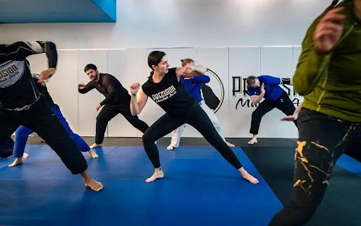 Precision Martial Arts