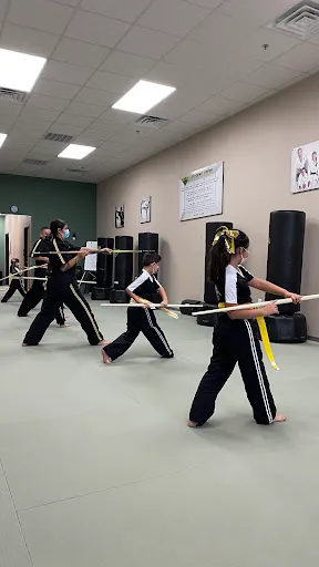 Premier Martial Arts Mission
