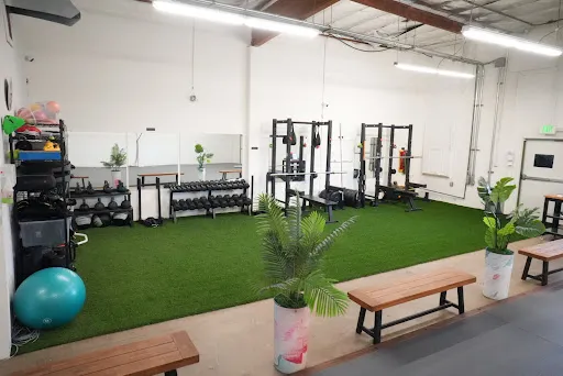 Primal Grounds Jiu Jitsu