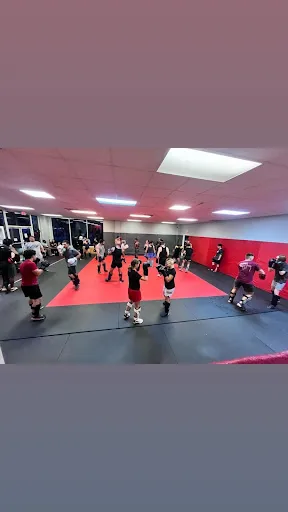 Primal Striking and BJJ