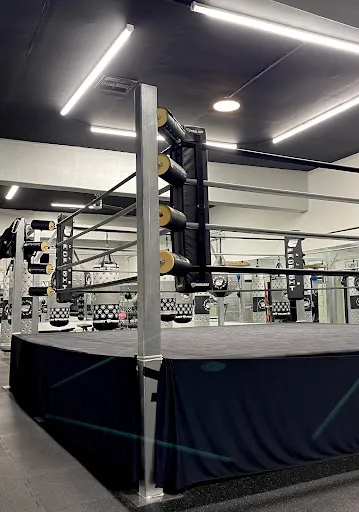 PRO FIGHT CLUB