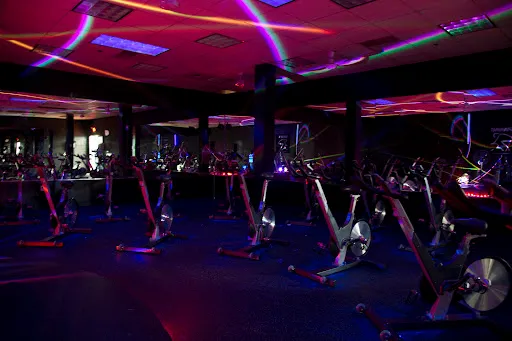 Pro Fitness