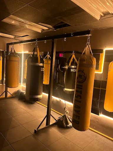 Profesional boxing coach
