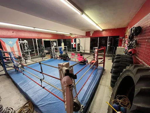 Pulpit Boxing