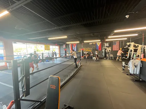 Punch Town Boxing Club