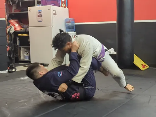 Purebred BJJ Hawaii