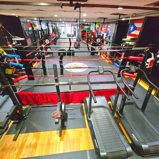 Raul's boxing house club