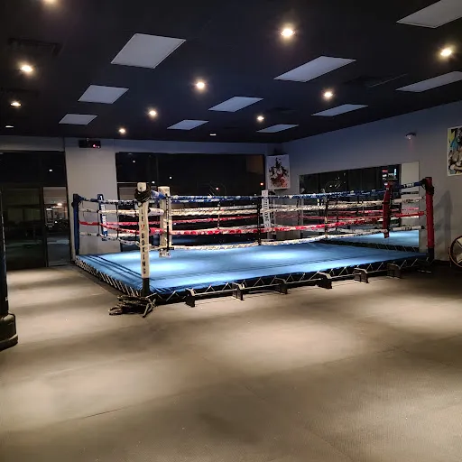 Real Boxing - Las Vegas