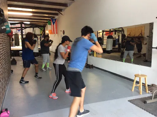 Real Digg Boxing