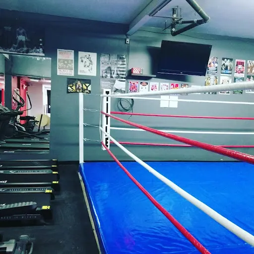 Rebels Boxing & Wrestling Club Ltd.