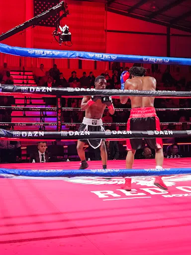 Red Owl Boxing - The Owl's Nest