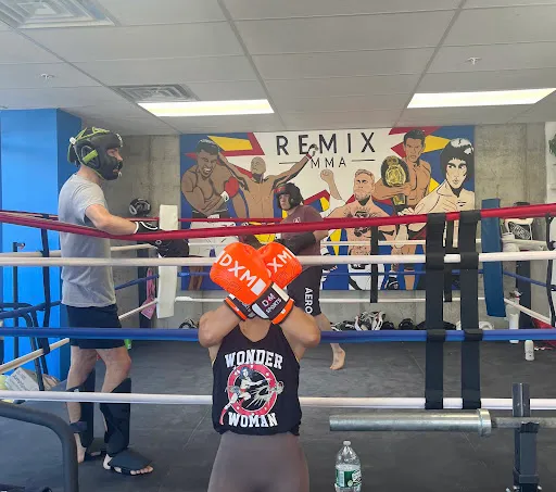 REMIX MMA