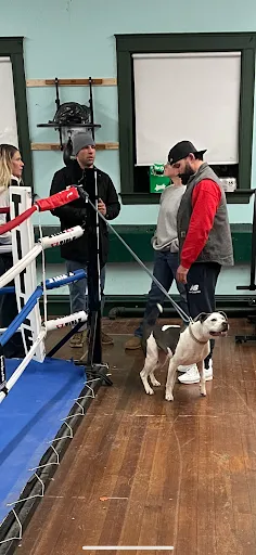 Revere Boxing