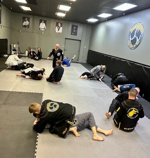 Revolution Brazilian Jiu Jitsu