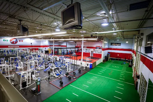 Revolution Martial Arts & Fitness