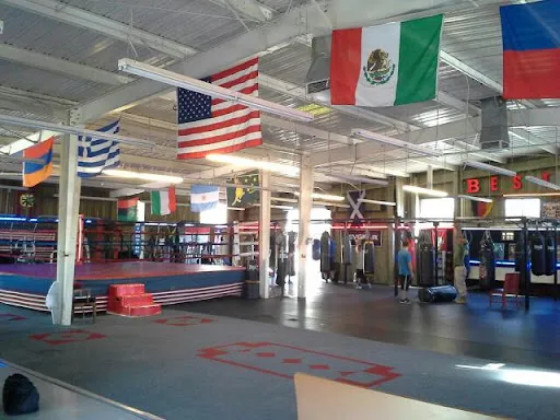 Rhino’s Boxing