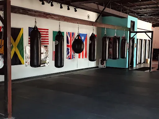 Right Cross Boxing