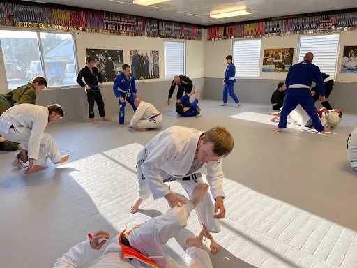 Risen Jiu-Jitsu - Terre Haute, IN