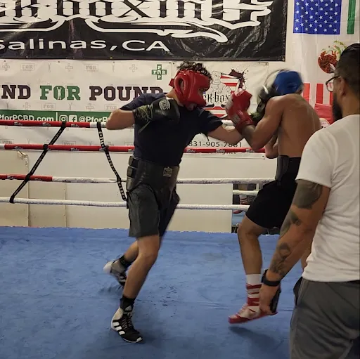 Rock Boxing Gym
